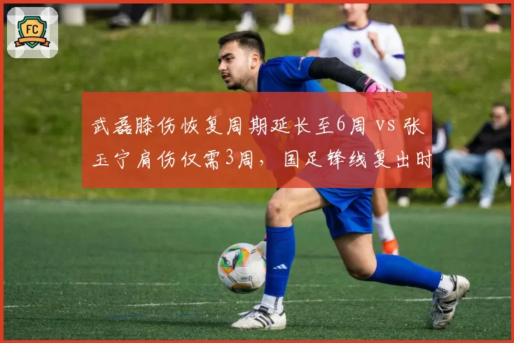 武磊膝伤恢复周期延长至6周 vs 张玉宁肩伤仅需3周，国足锋线复出时间差考验伊万