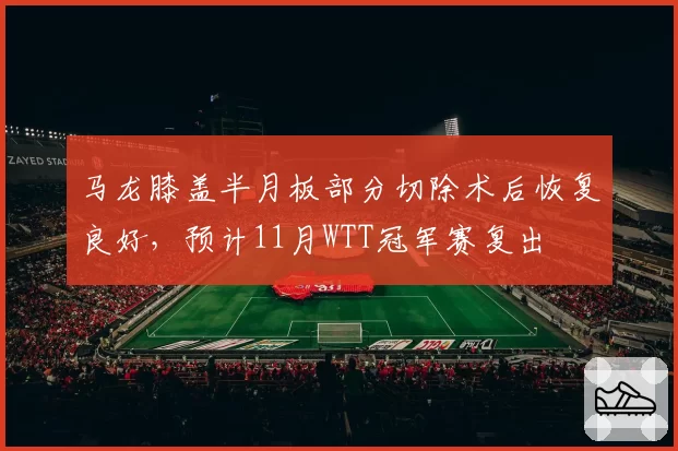 马龙膝盖半月板部分切除术后恢复良好，预计11月WTT冠军赛复出